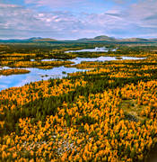 drnarbilder, drnarfoto, flygbild, flygbilder, flygfoto, flygfoton, Hrjedalen, hst, hstfrger, istidslmningar, landskap, naturreservat, Rogen, Rogenmorn, Rogens, vildmark, demark