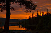 fjällsjö, fjällskog, himmel, Jämtland, kväll, landskap, Lövsjön, rofylld, röd, röd himmel, rött, skog, solnedgång, sommar, stilla, träd