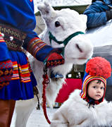 barn, Jokkmokk, Jokkmokks Marknad, kolt, kultur, marknad, ren, renrajd, same, samekultur, samepojke, samhllen, tradition, vintermarknad