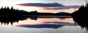 bastunsfjllet, Borgahllan, Jmtland, kvll, Saxvattnet, skog, sommar, stmning, stmningsbild, stmningsbilder, vildmark, rstid, rstider, demark