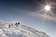 fjll, fritid, offpist, skidor, skidkare, skidkning, sport, utfrskning, vinter, reskutan, ventyr