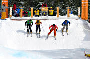 alpint, skicross, skidbacke, skidor, skidtvilng, skidkare, skidkning, skiercross, slalom, sport, tvling, utfrskning, vinter