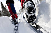 friluftsliv, pjxor, skidor, skidspr, skidkare, skidkning, sport, turkning, vinter, ventyr