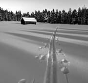 djupsn, friluftlsliv, Jmtland, lada, landskap, skidspr, skidkning, sn, spr, turkning, vinter, rstid, rstider, ventyr