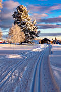 friluftsliv, Jämtland, landskap, skidor, skidspår, snö, stämning, stämningsbild, stämningsbilder, turåkning, vinter, årstid, årstider, äventyr