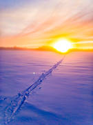 canvastavla, fototavla, Jämtland, landskap, skidspår, snö, solnedgång, tavla, vinter