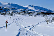 fjll, Friningen, Jmtland, landskap, led, ledmarkering, Saljaren, skoterled, vinter