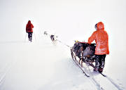 draghund, draghundar, draghundtur, sldfrd, sldhund, sldhundar, uteliv, vinter, ventyr