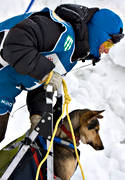 alaskan, Amundsen, amundsenrace, draghund, draghundar, fart, hund, hundar, hundfrare, hundspann, husky, race, sldhund, sldhundar, sn, vinter, ventyr