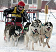 draghundar, draghundstävling, fart, hund, hundar, hundspann, siberian husky, slädhund, slädhundar, snö, vinter