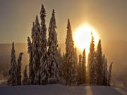 granar, Jämtland, landskap, sol, solnedgång, vinter, årstider