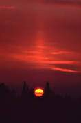 granskog, himmel, Jmtland, kvll, rd, skog, sol, solnedgng, soluppgng, stmning, stmningsbild, stmningsbilder, trdtoppar, vr, rstid, rstider
