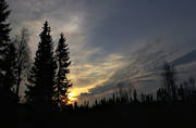 gryning, himmel, Jmtland, moln, skog, soluppgng, stmning, stmningsbild, stmningsbilder, vr, rstid, rstider