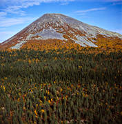 drnarbilder, drnarfoto, fjll, fjllnra, fjllskog, flygbild, flygbilder, flygfoto, flygfoton, Hrjedalen, hst, hstfrger, Korpflyet, lgfjll, nationalpark, skog, Sonfjllet, svenska fjllen