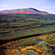 drnarbilder, drnarfoto, fjll, fjllbilder, fjllen, fjllnra, fjllskog, flygbild, flygbilder, flygfoto, flygfoton, Hrjedalen, hst, hstfrger, lgfjll, nationalpark, skog, Sonfjllet