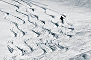 skidor, skidkare, sn, sport, spr, utfrskning, vinter