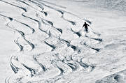 skidor, skidåkare, snö, sport, spår, utförsåkning, vinter