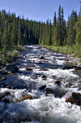 fors, friskt, Hglekardalen, Jmtland, natur, skog, skogsmark, skogslv, Storn, vatten, ar, lvar