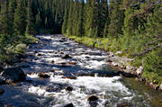fors, friskt, Hglekardalen, Jmtland, natur, skog, skogsmark, skogslv, Storn, vatten, ar, lvar