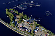 flygbilder, flygfoton, sommar