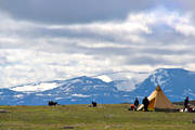 bostad, fjll, fritid, kultur, kta, lappland, ritsem, same, samekultur, samer, Sapmi, sommar, tlt, tltkta