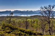 Abisko, abiskofjllen, fjll, fjllen, landskap, lappland, Lapporten, natur, sommar, sommarfjll, tornetrsk
