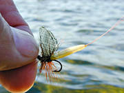 dagslnda, fiske, fluga, flugfiske, sportfiske, torrfluga