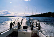 fiske, sportfiske, Storsjn, trolling, trollingbt