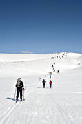 fjll, kalfjll, ledkors, mullfjllet, skidkare, skidkning, tur, turkare, turkning, vinter