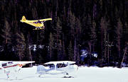 flyg, flygmaskin, kommunikationer, landar, luftfart, skidflyg, skidflygning, skidor, Super Koala, ultraltt