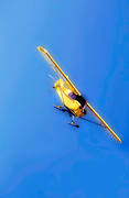 flyg, flygplan, kommunikationer, luftfart, skidflyg, skidflygning, skidor, Super Koala, ultraltt