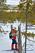 fjllskog, Hrjedalen, landskap, nationalpark, nationalparker, skidkare, skidkning, Sododalen, Sonfjllet, stubbe, torraka, torrstubbe, torrtall, turkning, trved, urskog, vinter
