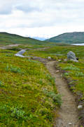fjlled, fjllvandring, led, nationalpark, Padjelanta, sommar, stig, vandringsled, ventyr