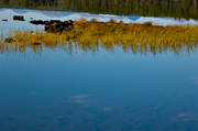 biotop, biotoper, Hrjedalen, hst, natur, sjar, strnder, vass, vassrugge, rstid, rstider