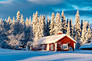 granar, granskog, hem, hus, julstmning, Jmtland, lngtan, Lfssen, skog, sn, stuga, stugor, stmning, stmningsbild, stmningsbilder, upplega, vinter, vinterro, vinterskog, vinterstuga, rstid, rstider