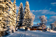 granar, granskog, Jämtland, landskap, snö, stämning, stämningsbild, stämningsbilder, vinter, årstid, årstider