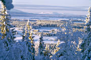 fjäll, Frösön, Jämtland, landskap, skog, utsikt, vinter, vinterfjäll