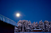 fullmåne, granar, julstämning, månsken, natt, snötyngda, stämning, stämningsbild, stämningsbilder, vinter, vinternatt, årstid, årstider