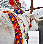 Jokkmokk, Jokkmokks Marknad, kultur, marknad, ren, samekultur, samhllen, seldon, vintermarknad