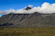 fjll, fjllen, fjlltopp, fjlltoppar, hgfjll, landskap, Laponia, lappland, sarek, Sarek nationalpark, Sarekfjll, sommar, hpar, par