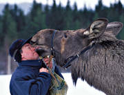 djur, dggdjur, farmad, glad, gldje, husse, kompisar, lycka, mnniska, slick, slickar, vnskap, lg, lgar, lgfarm