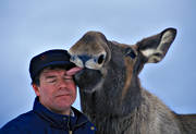 djur, dggdjur, glad, gldje, husse, kompisar, lycka, mnniska, slick, slickar, vnskap, lg, lgar