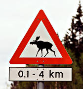 biltrafik, kommunikationer, landfart, skylt, trafik, lg, lgvarning, lgvarningsskylt