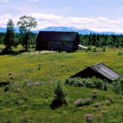 Jmtland, lada, landskap, sommar, nnsjn, nsjn, ng