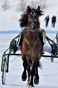 diverse, hst, hstar, istrav, kallblod, sport, trav, travhstar, travsport, vinter, re, resjn