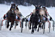 diverse, hst, hstar, istrav, sport, trav, travhstar, travsport, vinter, re, resjn