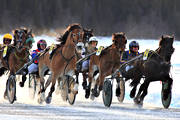 diverse, hst, hstar, istrav, kallblod, sport, trav, travhstar, travsport, vinter, re, resjn