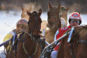 diverse, hst, hstar, istrav, sport, trav, travhstar, travsport, varmblod, vinter, re, resjn