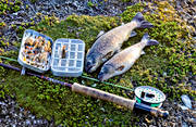 fiske, flugask, flugfiske, flugsp, sportfiske, ringar