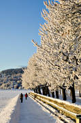 Badhusparken, frost, Jmtland, kallt, kyla, midvinter, rimfrost, stmning, stmningsbild, stmningsbilder, vinter, vinterstaden, vinterstmning, stersund